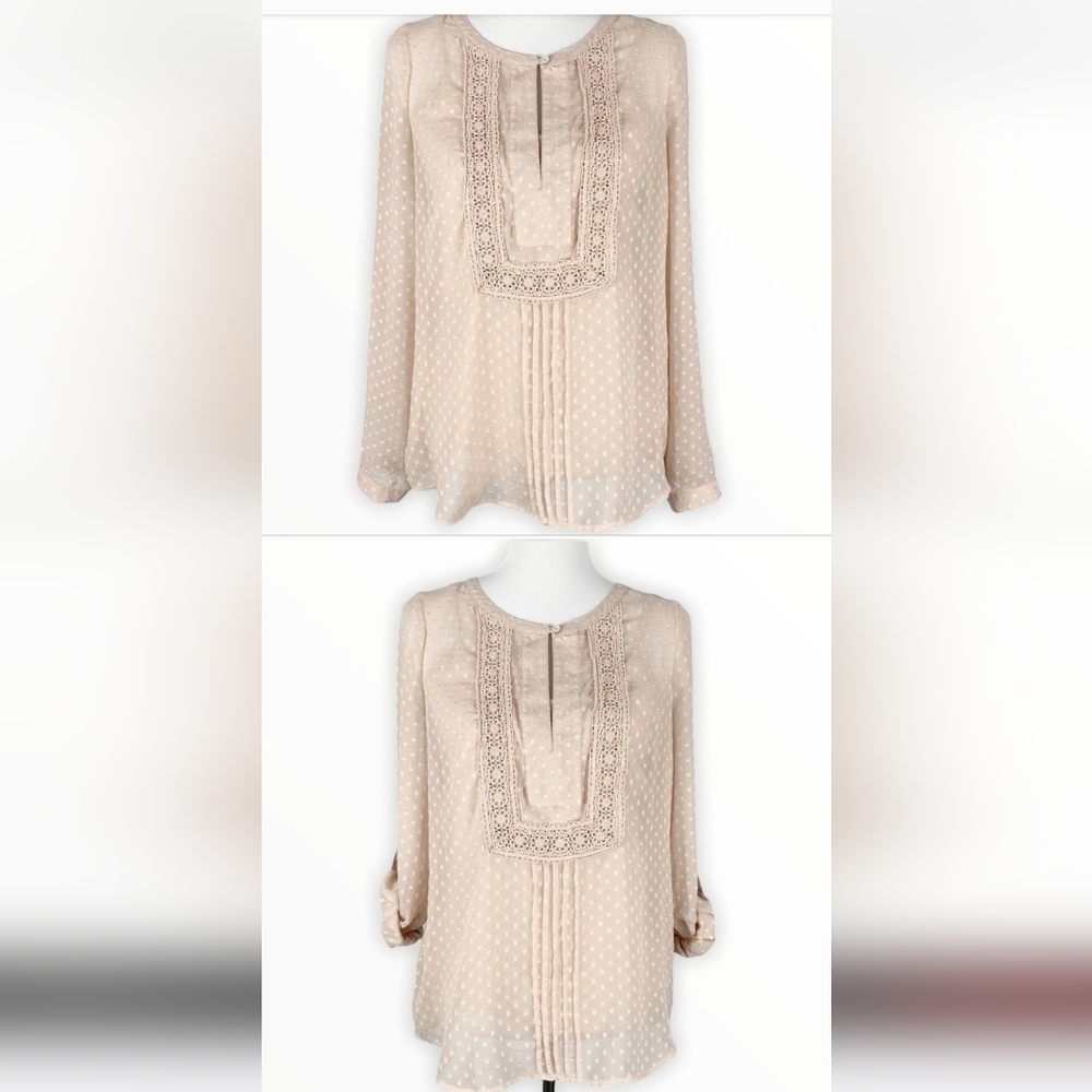 Daniel Rainn Light Cream Swiss Dot Lace-Trim Blouse